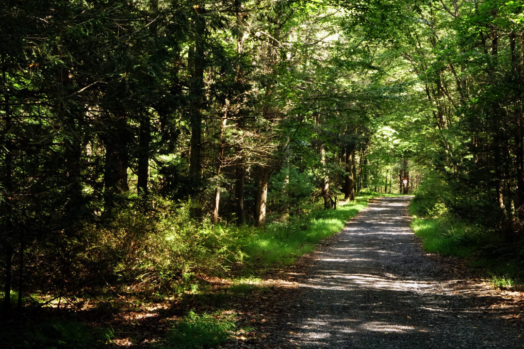 Mountain Acres Lodge Snug in the seven mountains region of central